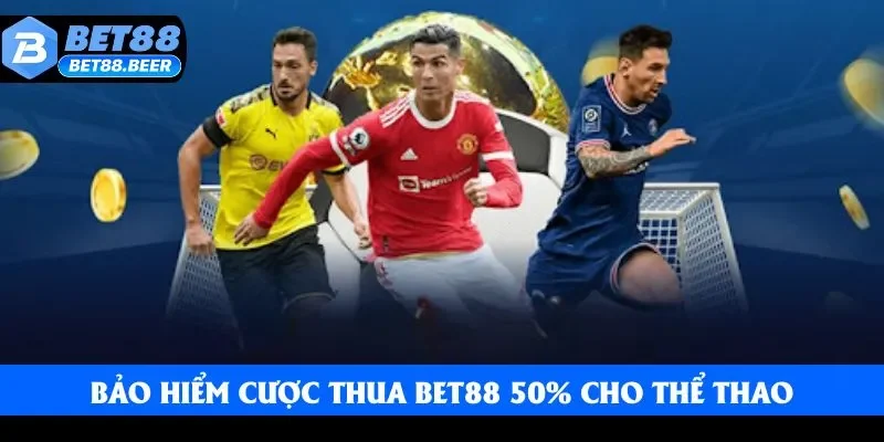 Hoàn trả 50% cho sảnh thể thao Hoàn trả 50% cho sảnh thể thao