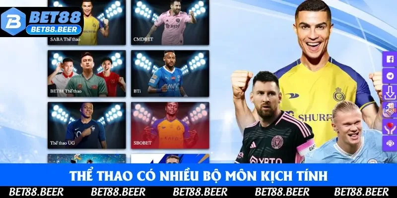 Thể thao có nhiều bộ môn kịch tính, hấp dẫn người chơi toàn cầu Thể thao có nhiều bộ môn kịch tính, hấp dẫn người chơi toàn cầu