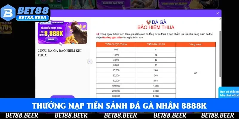 Thưởng nạp tiền sảnh Đá Gà nhận 8888K Thưởng nạp tiền sảnh Đá Gà nhận 8888K